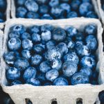 Heidelbeeren - kleine Vitaminbomben