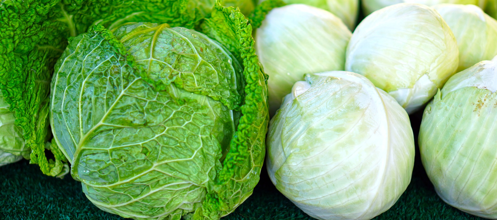 Kohl geschmort mit Hackfleisch