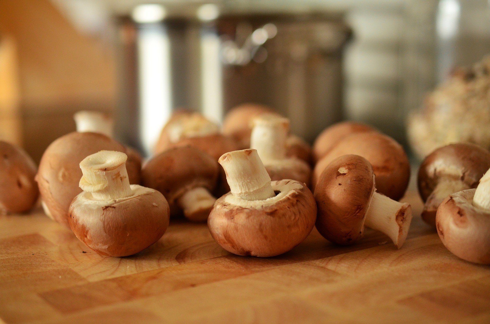 Gebratene Champignons